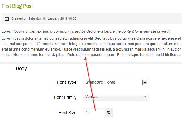 Font Size Custom